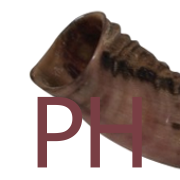 Parashah Haikus